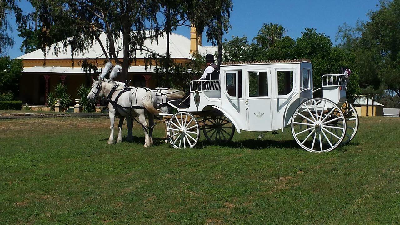 Hotel Ranelagh House à Dubbo Extérieur photo